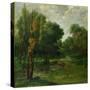 Forest Landscape, 1864-Gustave Courbet-Stretched Canvas