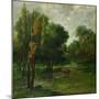 Forest Landscape, 1864-Gustave Courbet-Mounted Giclee Print