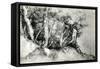 Forest Landscape, C1516-1518-Titian (Tiziano Vecelli)-Framed Stretched Canvas