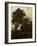 Forest Landscape with Lean-To-Roelant Roghman-Framed Art Print