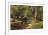 Forest Landscape-Peder Mork Monsted-Framed Giclee Print