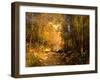 Forest Lane Near Schärfling, 1890-Emil Jakob Schindler-Framed Giclee Print