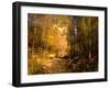 Forest Lane Near Schärfling, 1890-Emil Jakob Schindler-Framed Giclee Print