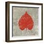 Forest Leaf II-Max Carter-Framed Art Print