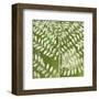 Forest Leaves-Erin Clark-Framed Art Print