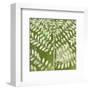 Forest Leaves-Erin Clark-Framed Art Print