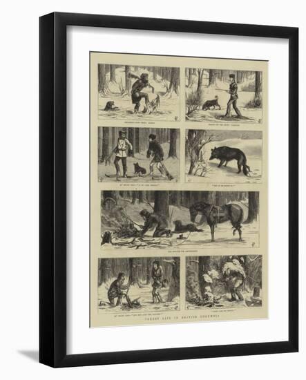 Forest Life in British Columbia-Charles Edwin Fripp-Framed Giclee Print