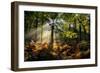 Forest Light 3-Charles Bowman-Framed Photographic Print