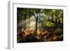 Forest Light 3-Charles Bowman-Framed Photographic Print