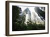 Forest Light Magic - Redwoods Emerald Trees Light Beams - California Coast-Vincent James-Framed Photographic Print