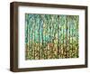 Forest Light-Herb Dickinson-Framed Photographic Print