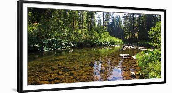 Forest Meander-Jakob Dahlin-Framed Giclee Print