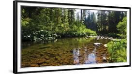 Forest Meander-Jakob Dahlin-Framed Giclee Print