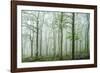 Forest Melody-Bobby Joshi-Framed Giclee Print