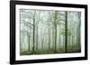 Forest Melody-Bobby Joshi-Framed Giclee Print