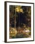 Forest Mirror, Queensland-Charles E Gordon Frazer-Framed Art Print