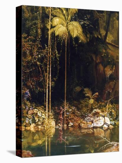 Forest Mirror, Queensland-Charles E Gordon Frazer-Stretched Canvas