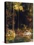 Forest Mirror, Queensland-Charles E Gordon Frazer-Stretched Canvas