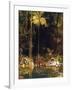 Forest Mirror, Queensland-Charles E Gordon Frazer-Framed Art Print