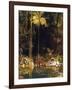 Forest Mirror, Queensland-Charles E Gordon Frazer-Framed Art Print