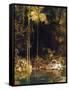 Forest Mirror, Queensland-Charles E Gordon Frazer-Framed Stretched Canvas