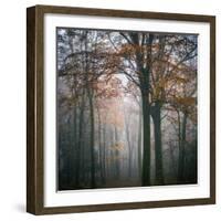 Forest Mood-Philippe Manguin-Framed Photographic Print