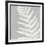 Forest Motif I-Clara Wells-Framed Giclee Print