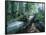 Forest, Natural, Germany-Thonig-Framed Photographic Print