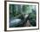 Forest, Natural, Germany-Thonig-Framed Photographic Print