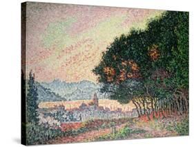 Forest Near St. Tropez, 1902-Paul Signac-Stretched Canvas