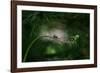 Forest nook-null-Framed Photographic Print