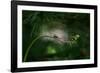 Forest nook-null-Framed Photographic Print