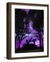 Forest Nymph-Julie Fain-Framed Art Print