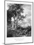 Forest Oaks, Fontainebleau, 1908-Ernest Albert Waterlow-Mounted Giclee Print