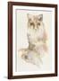 Forest Odyssey - Fox-Kristine Hegre-Framed Giclee Print