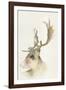 Forest Odyssey - Stag-Kristine Hegre-Framed Giclee Print