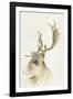 Forest Odyssey - Stag-Kristine Hegre-Framed Giclee Print