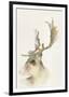 Forest Odyssey - Stag-Kristine Hegre-Framed Giclee Print