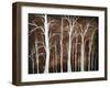 Forest Of Angels-Megan Aroon Duncanson-Framed Art Print