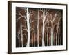 Forest Of Angels-Megan Aroon Duncanson-Framed Art Print