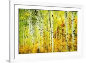 Forest of Aspens Along Kebler Pass-Darrell Gulin-Framed Photographic Print