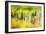 Forest of Aspens and Firs Along Kebler Pass-Darrell Gulin-Framed Photographic Print