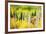 Forest of Aspens and Firs Along Kebler Pass-Darrell Gulin-Framed Photographic Print