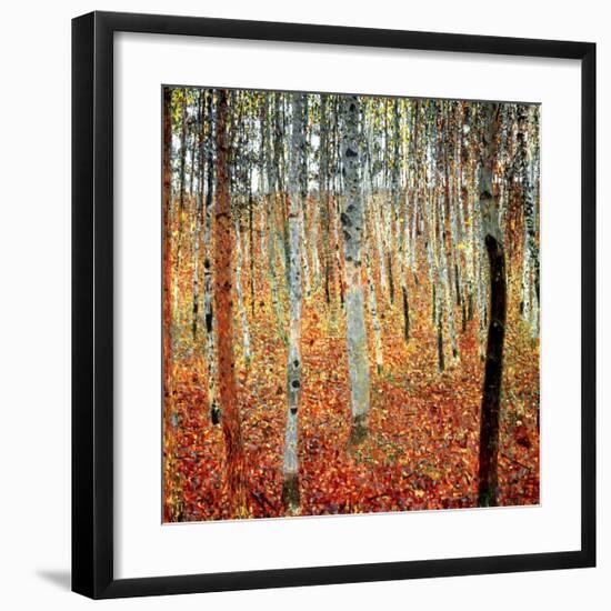 Forest of Beech Trees, c.1903-Gustav Klimt-Framed Art Print