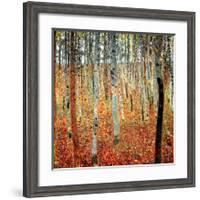 Forest of Beech Trees, c.1903-Gustav Klimt-Framed Art Print