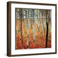 Forest of Beech Trees, c.1903-Gustav Klimt-Framed Art Print