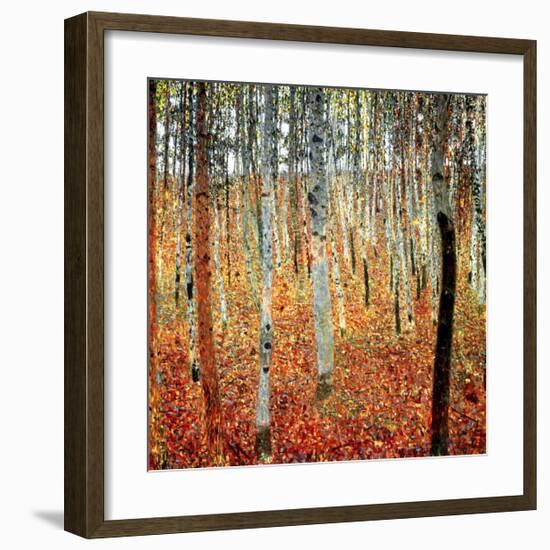 Forest of Beech Trees, c.1903-Gustav Klimt-Framed Art Print