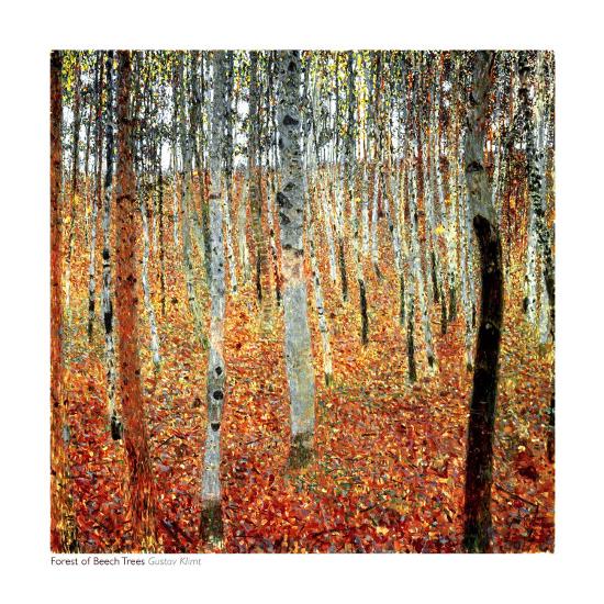 Forest of Beech Trees, c.1903-Gustav Klimt-Framed Print Mount