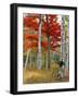 Forest of Birch and Maples in Autumn Colors, Wyman Lake, Maine, USA-Jaynes Gallery-Framed Photographic Print