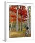 Forest of Birch and Maples in Autumn Colors, Wyman Lake, Maine, USA-Jaynes Gallery-Framed Photographic Print